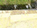 image of grave number 206899